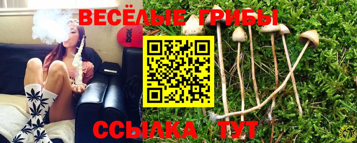 Североморск  Псилоцибиновые грибы мицелий  Вход с VPN 
